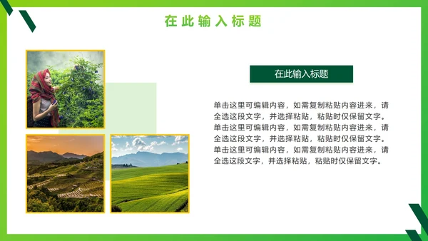 绿色简约实景农业建设商业计划书PPT模板
