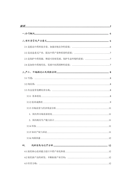 沈阳医药开发公司融资专项说明书.docx