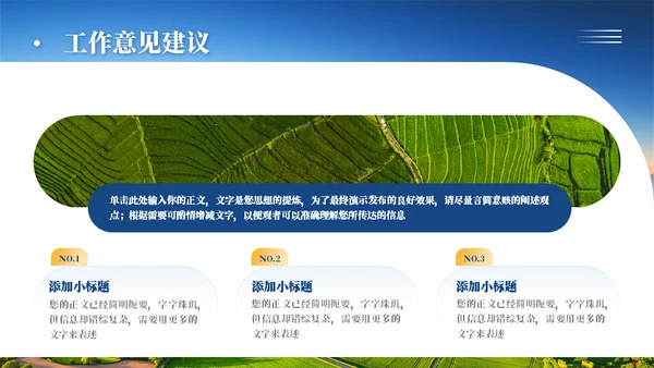乡村振兴项目工作汇报通用PPT模板