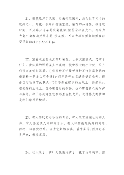 描写菊花的优美句子.docx