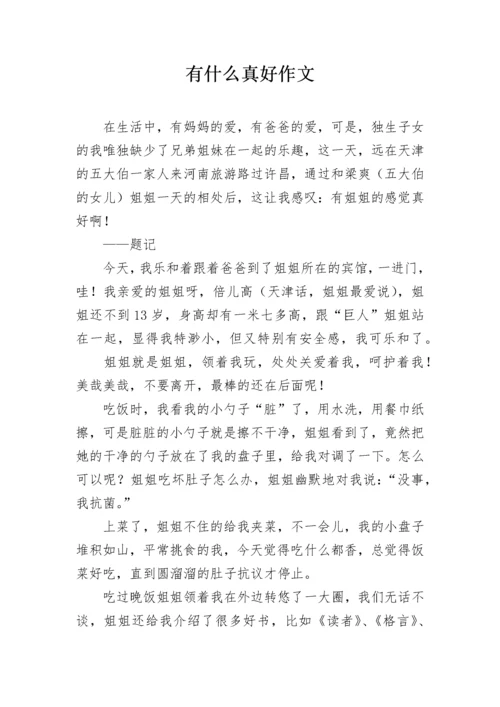 有什么真好作文.docx