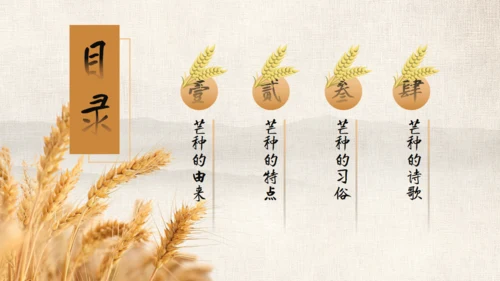 金色麦穗二十四节气之芒种通用PPT模板