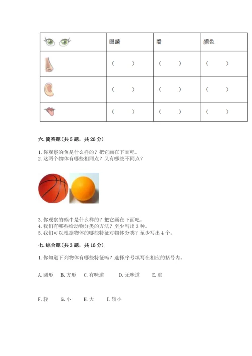 教科版一年级下册科学期末测试卷【轻巧夺冠】.docx
