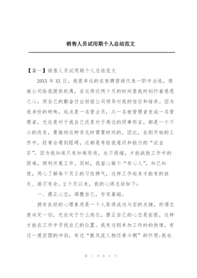 销售人员试用期个人总结范文.docx