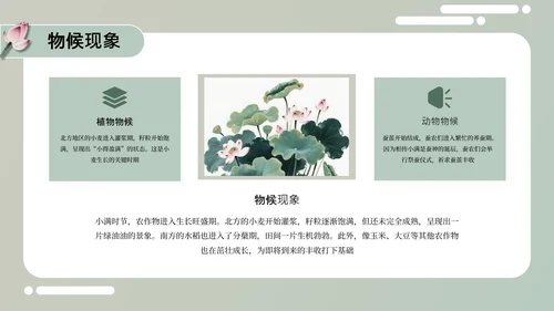 绿色中国风小满节气介绍通用模板