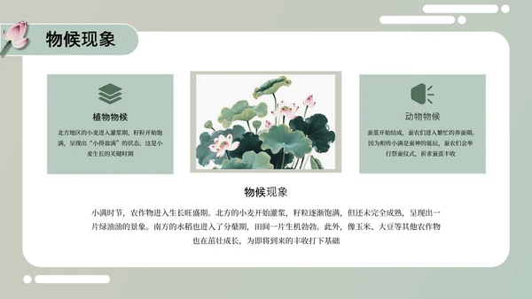 绿色中国风小满节气介绍通用模板