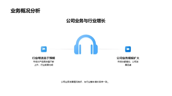 公司发展与市场策略