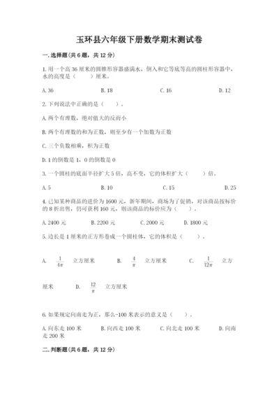 玉环县六年级下册数学期末测试卷（考试直接用）.docx