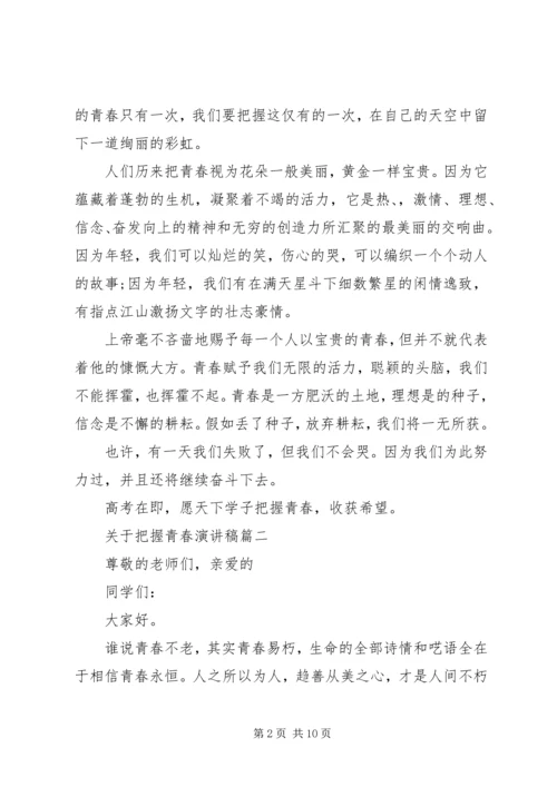 关于把握青春演讲稿精选.docx