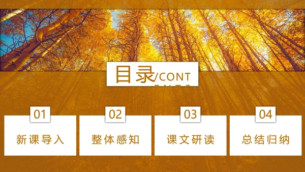 初中语文茅盾《白杨礼赞》PPT教学课件