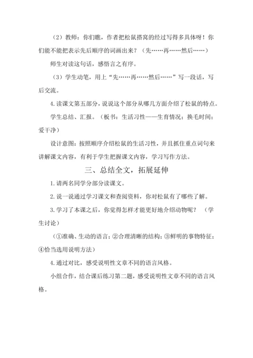 17 松鼠 教案
