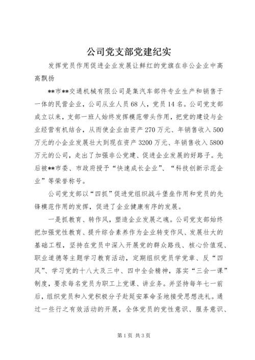 公司党支部党建纪实.docx