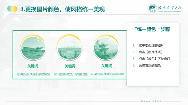 湖南农业大学毕业课题答辩通用PPT模板