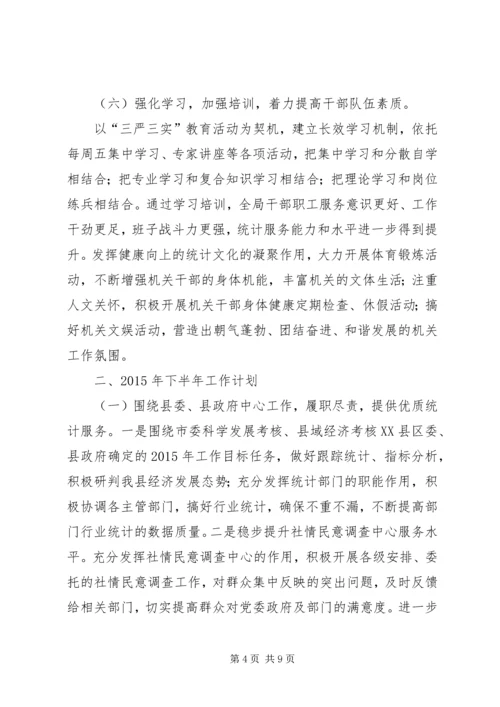 统计局半年工作总结及下半年工作计划.docx