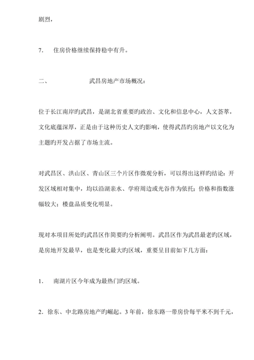 国际专项项目广告推广专题策划案.docx