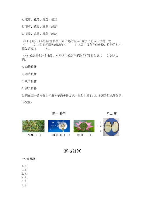 科学四年级下册第一单元《植物的生长变化》测试卷及答案（全优）