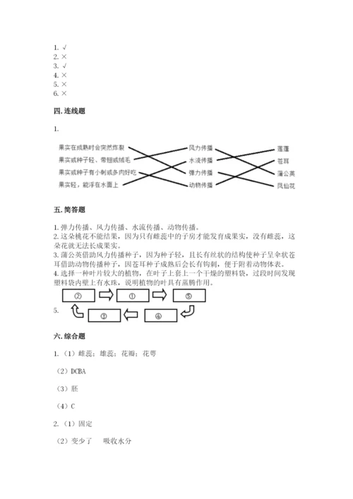 科学四年级下册第一单元《植物的生长变化》测试卷及完整答案（易错题）.docx