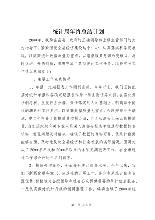 统计局年终总结计划.docx