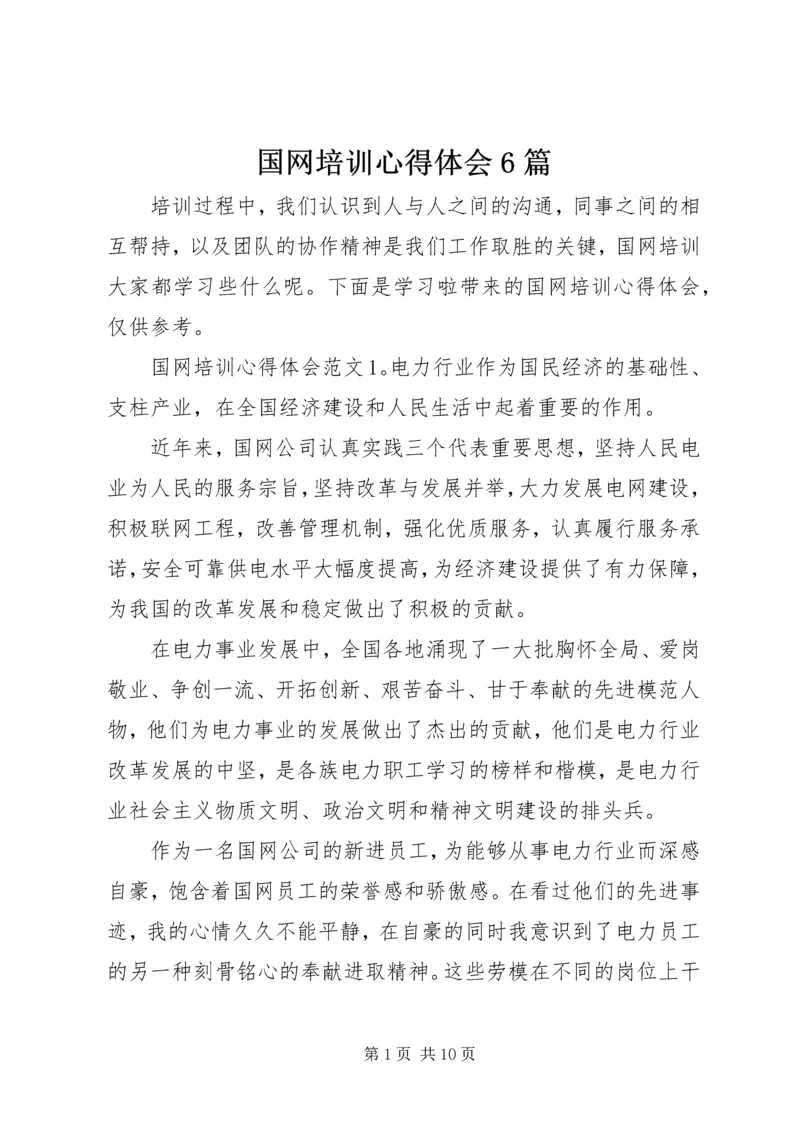 国网培训心得体会6篇.docx