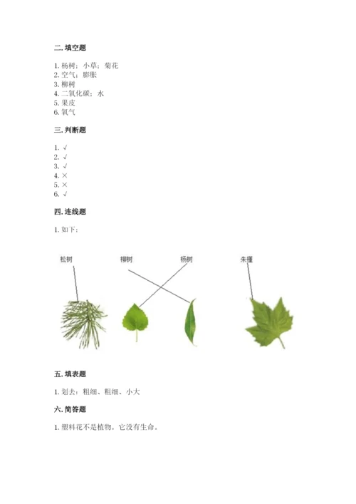 教科版科学一年级上册第一单元《植物》测试卷（综合题）.docx