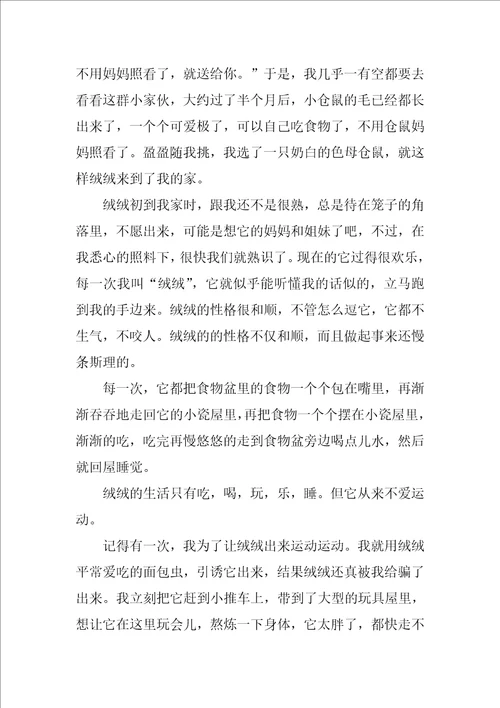 六年级写动物的作文三篇关爱动物作文