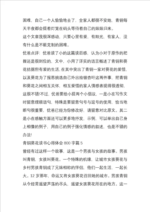 青铜葵花读书心得体会800字5篇