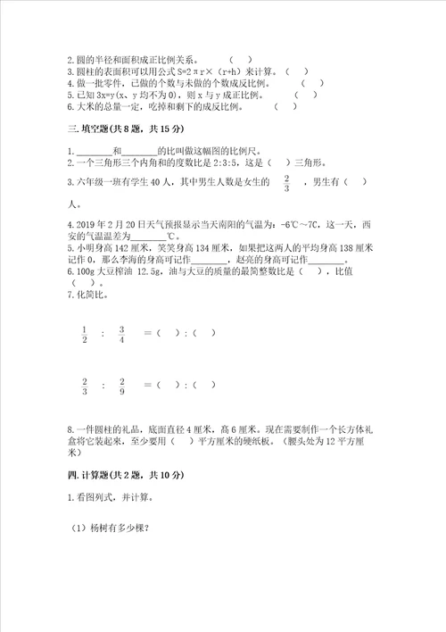 北师大版数学六年级下册期末测试卷精品【典优】