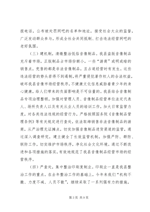 XX年上半年扫黄打非工作总结及下半年工作要点.docx