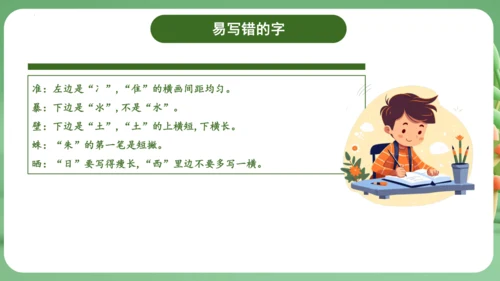 统编版2024三年级语文上册第四单元复习   课件
