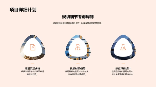 项目投资策略解析