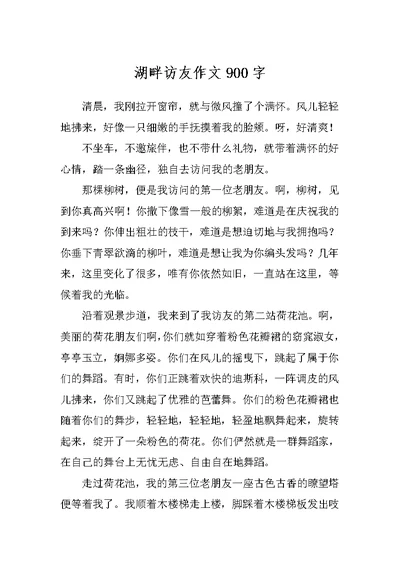 湖畔访友作文900字