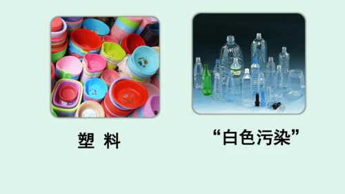 10.《我们所了解的环境污染》（第二课时）  课件