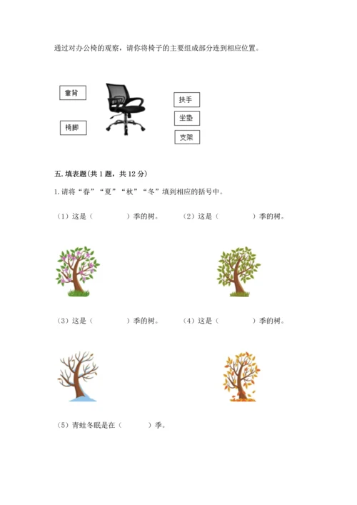 教科版二年级上册科学期末测试卷精品（基础题）.docx