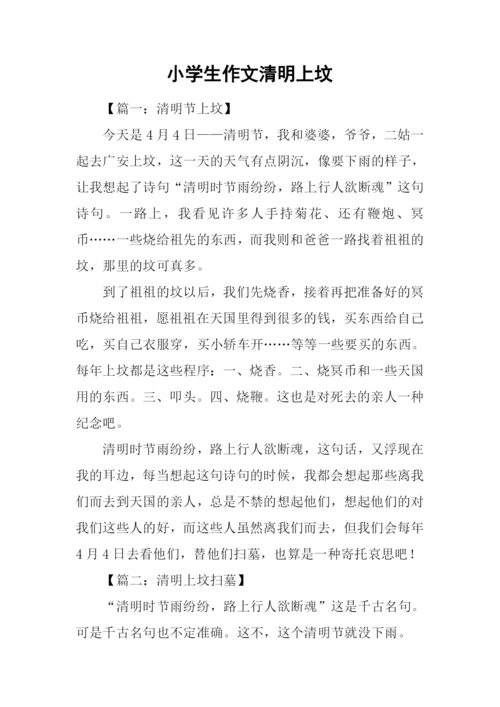 小学生作文清明上坟.docx