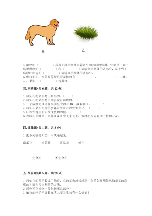 教科版四年级下册科学第一单元《植物的生长变化》测试卷精品【实用】.docx