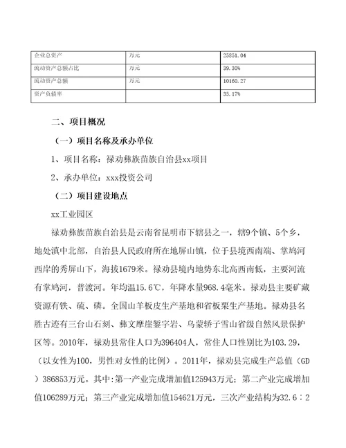 禄劝彝族苗族自治县项目可行性研究报告参考范文分析