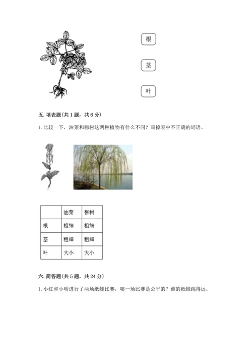 教科版科学一年级上册期末测试卷a4版打印.docx