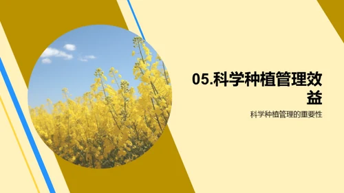 智慧农业：油料种植新篇章