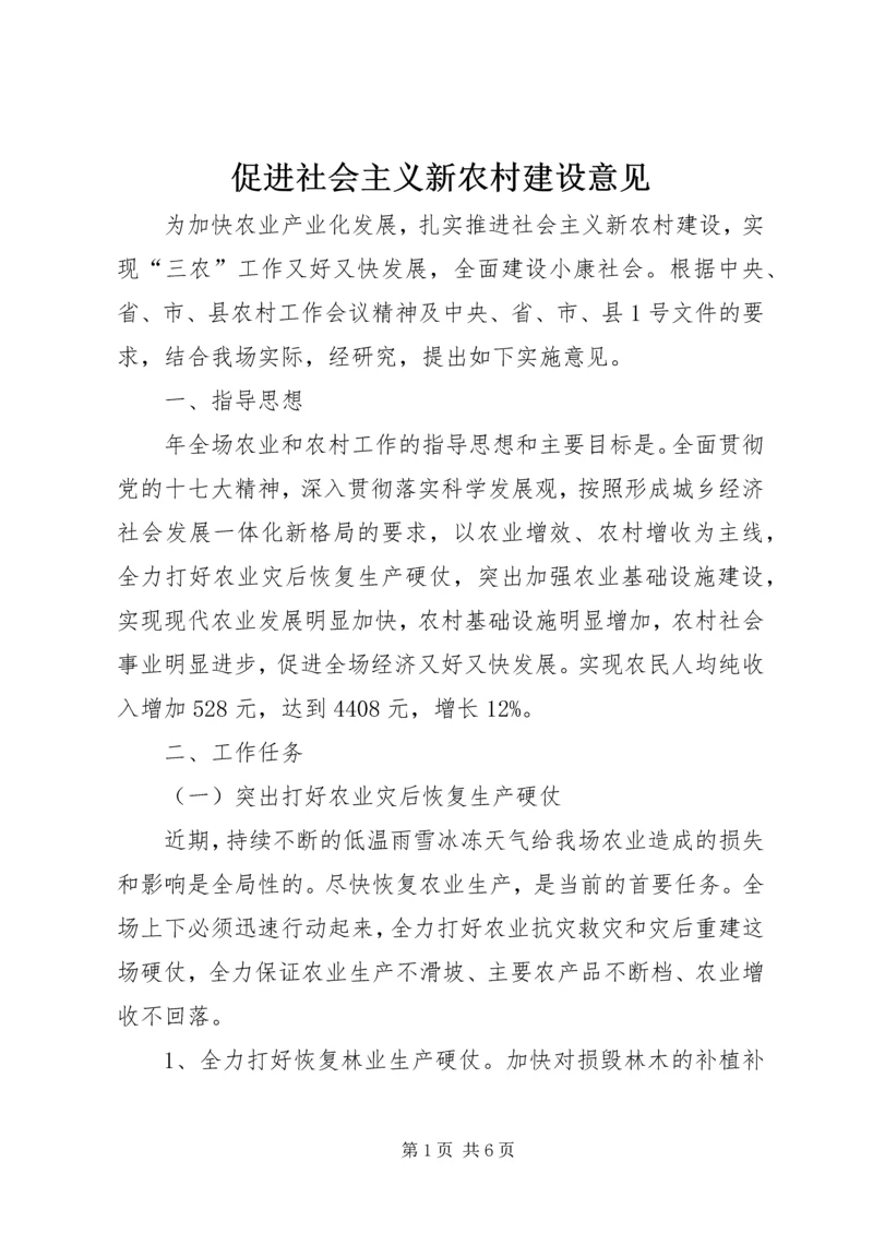 促进社会主义新农村建设意见 (2).docx