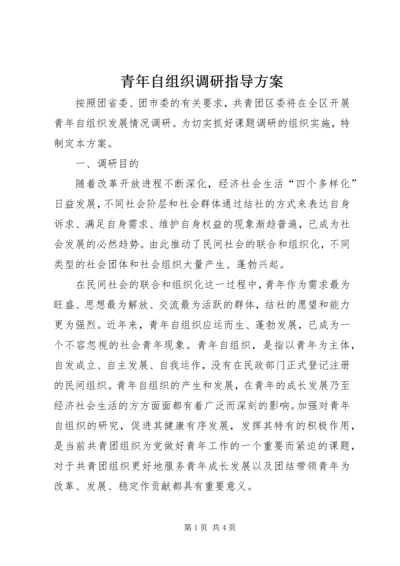 青年自组织调研指导方案.docx