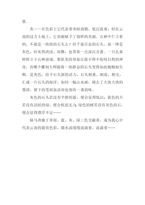 云南印象作文800字.docx