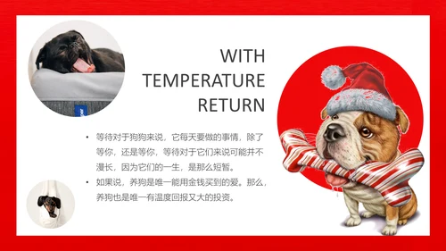 丑萌的小狗狗宠物通用PPT模板