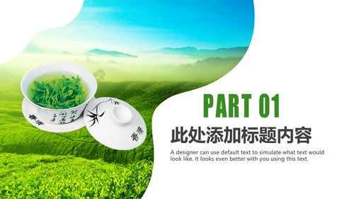 茶具茶叶绿茶白茶红茶黑茶茶文化茶厂PPT