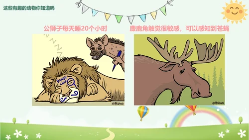 世界动物日小动物集合PPT模板