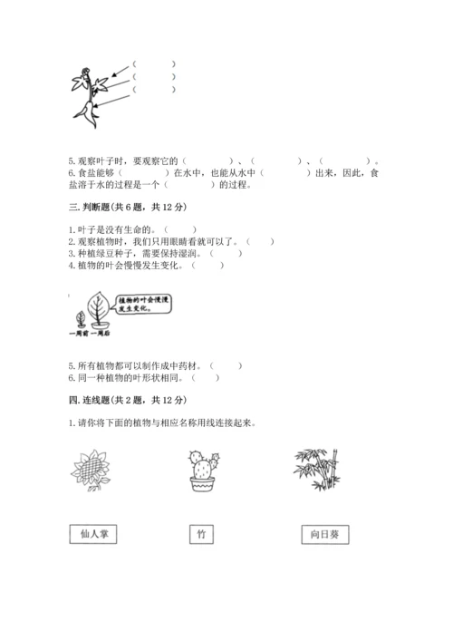 教科版科学一年级上册第一单元《植物》测试卷含答案【轻巧夺冠】.docx