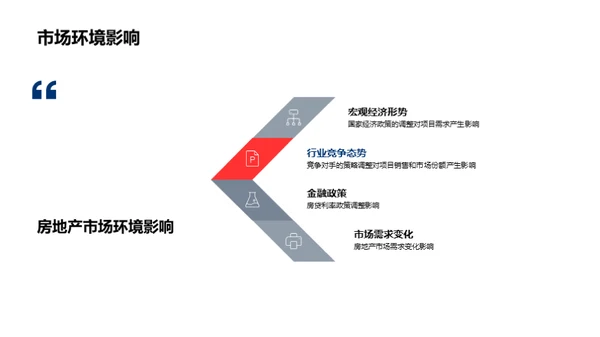 项目进程分析与未来规划