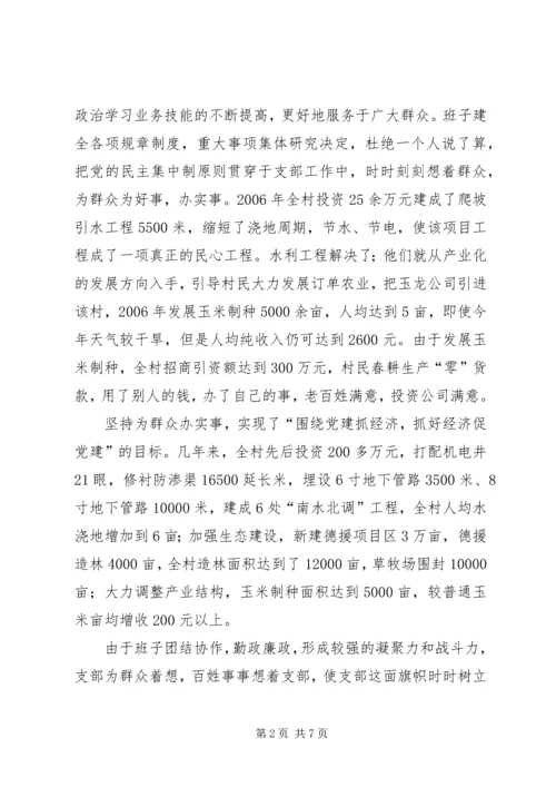 村党支部经验材料 (5).docx