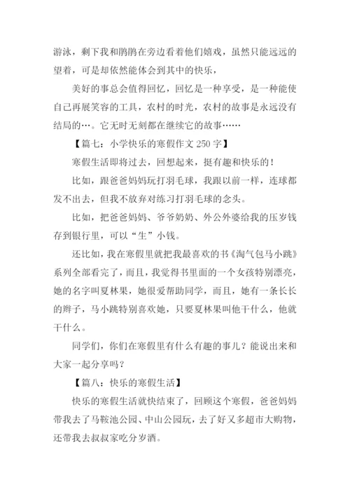 快乐的寒假作文250字.docx