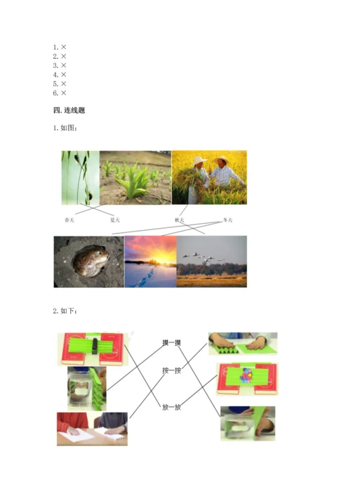 教科版科学二年级上册《期末测试卷》精品带答案.docx