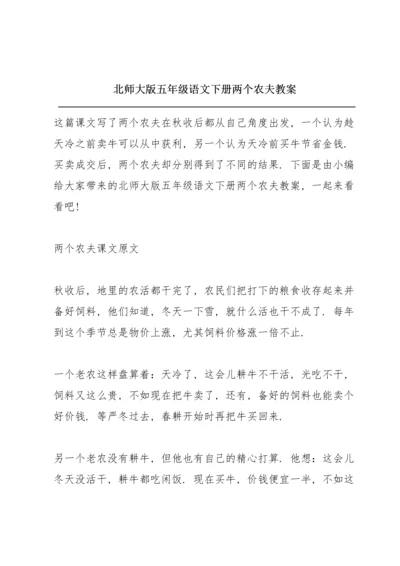 北师大版五年级语文下册《两个农夫》教案.docx